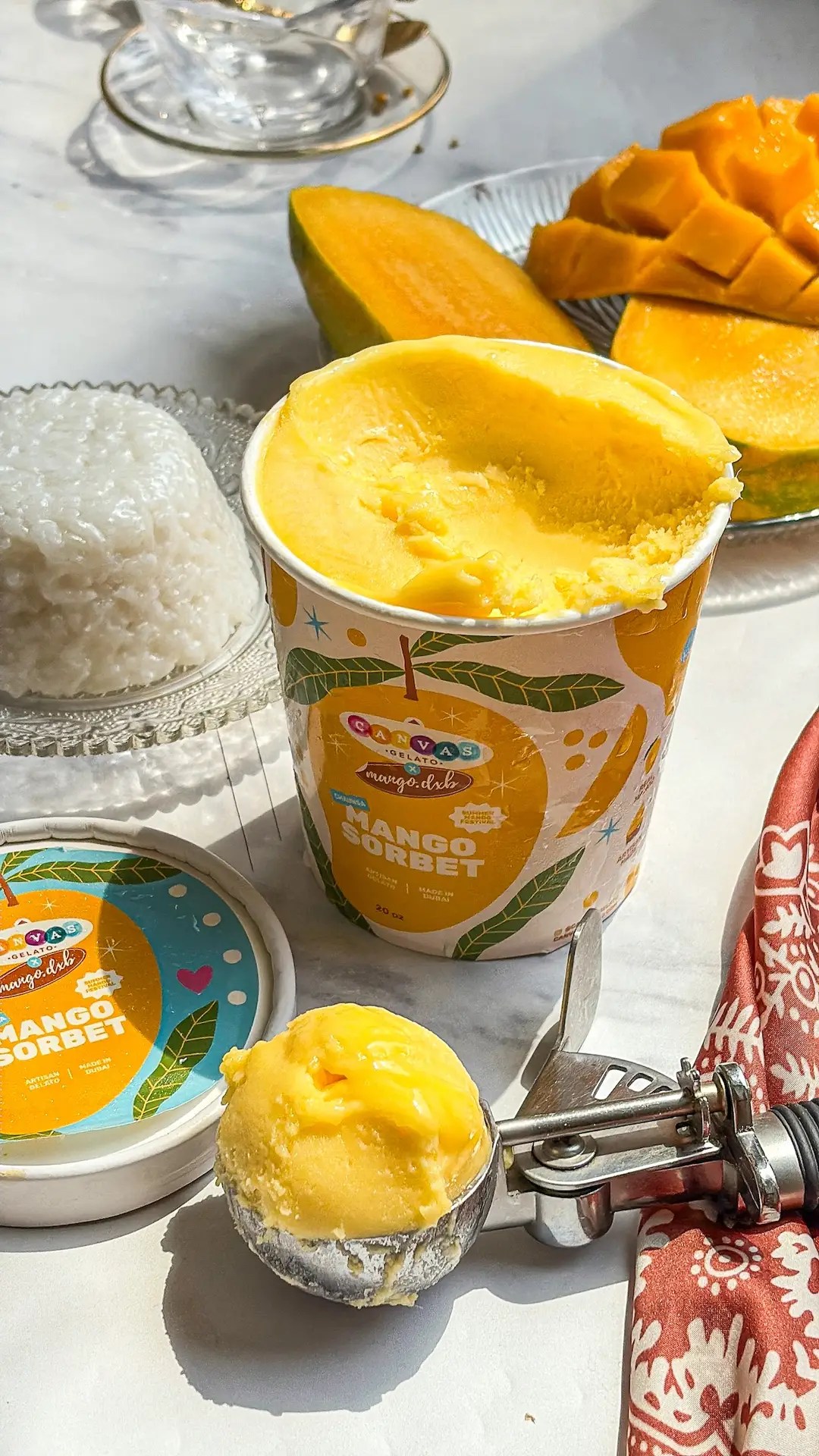 The Best Mango Coconut Sticky Rice Dessert | Easy Stove Top Recipe