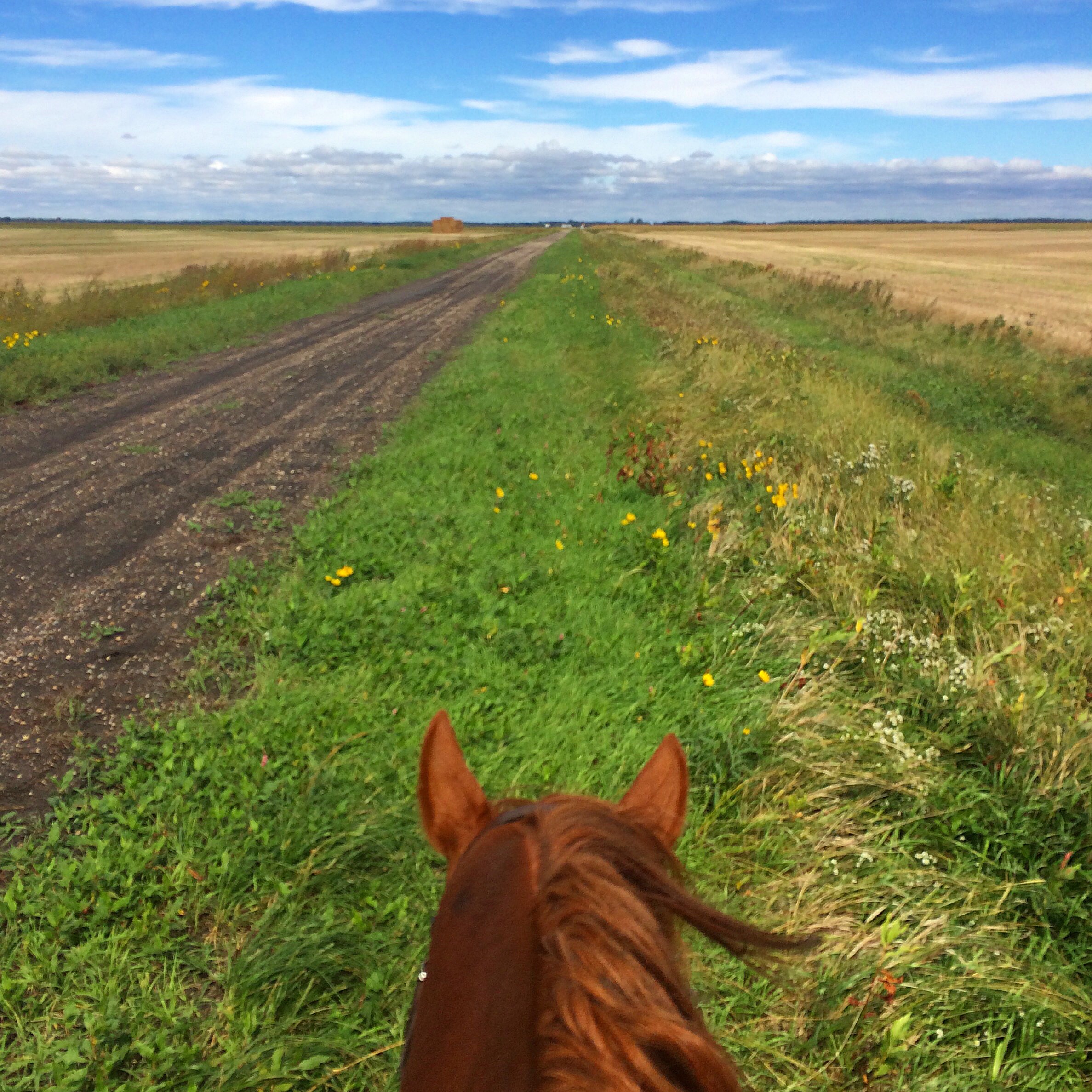An afternoon ride with my horse Cyclone Larry after class