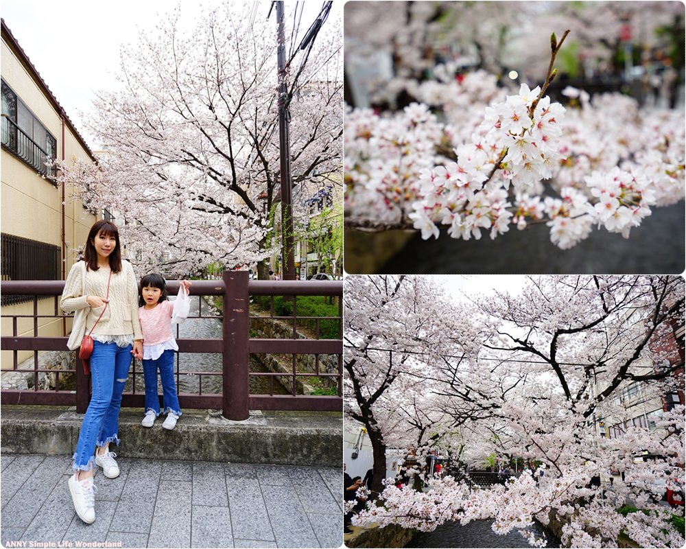 【京阪自由行】京都賞櫻景點推薦 高瀨川 ♥ 市區必去 免費櫻花秘境