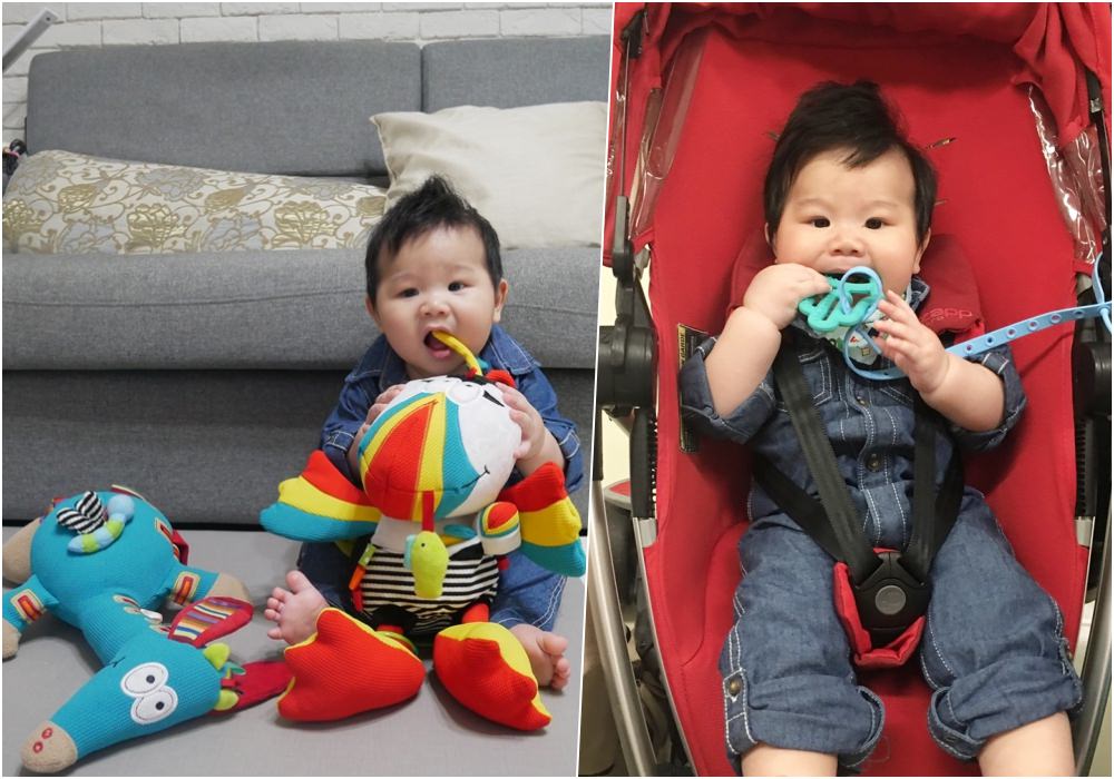 【育兒好物】法國Dolce多功能統感玩具+美國 lil’Sidekick 多功能固定防掉帶
