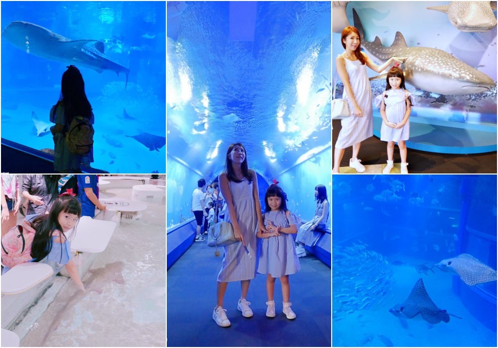 【大阪景點】大阪親子景點推薦 大阪海遊館 ♥ 便宜門票、交通、親子攻略