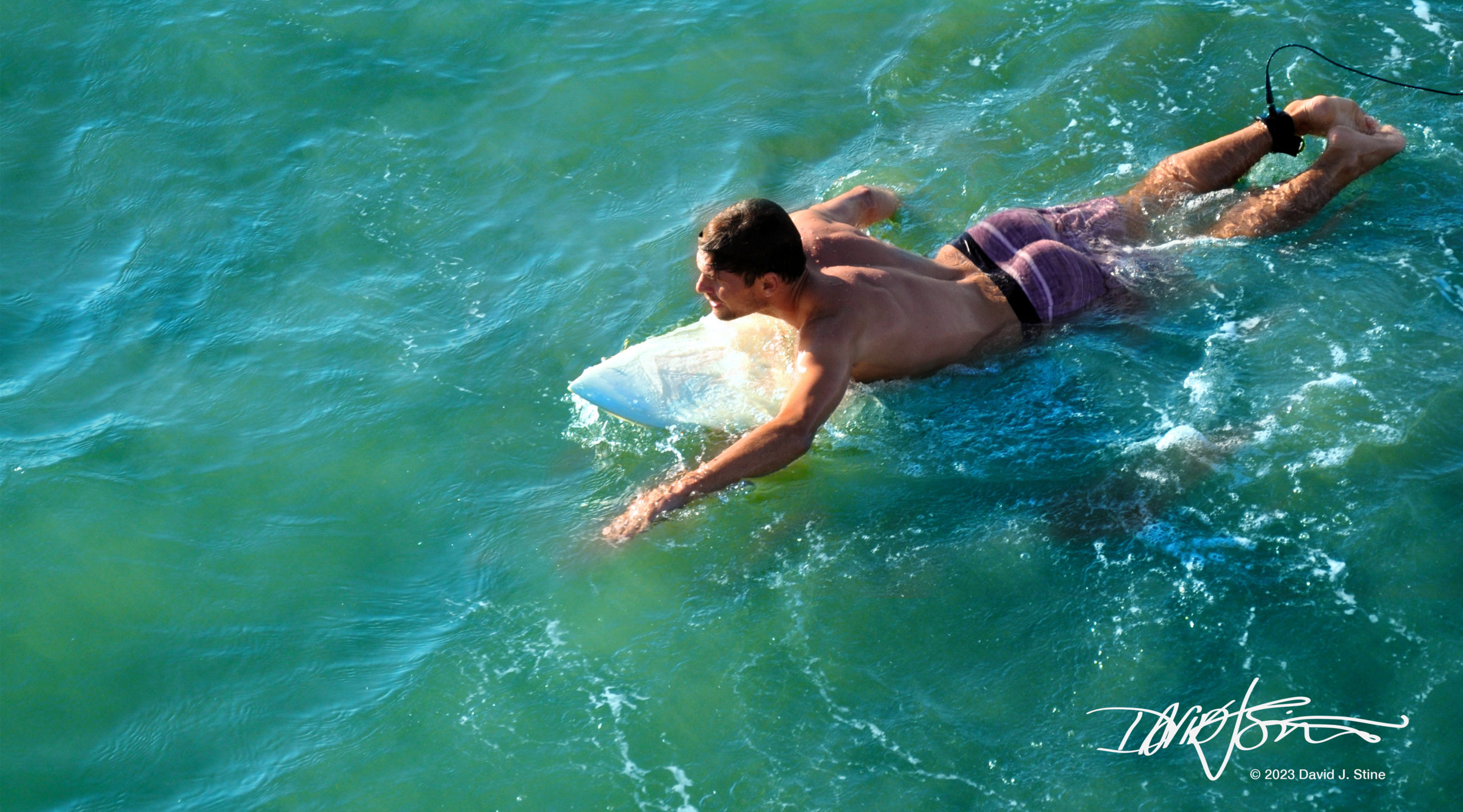 Surfer - David J Stine