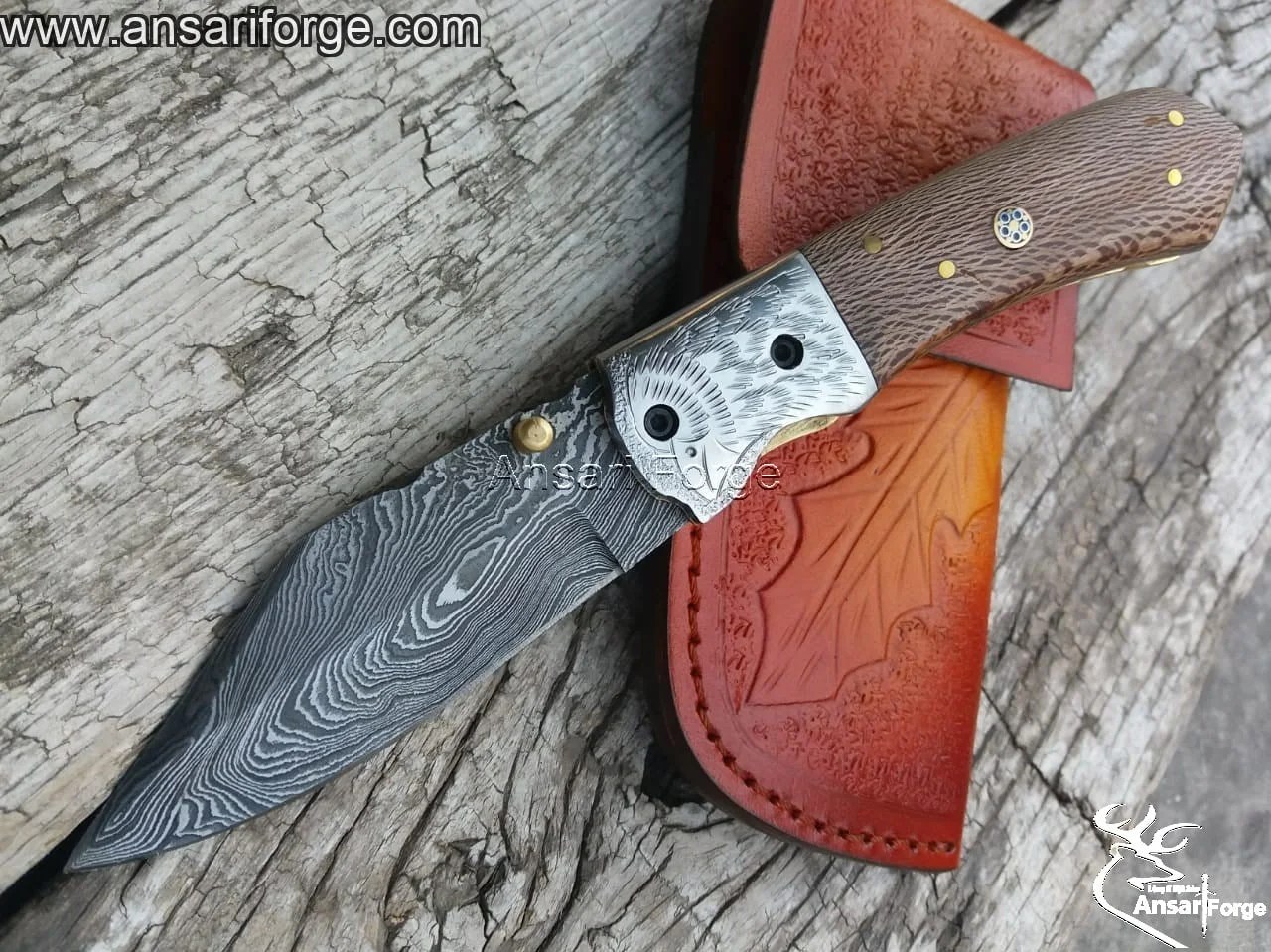 dmc4e