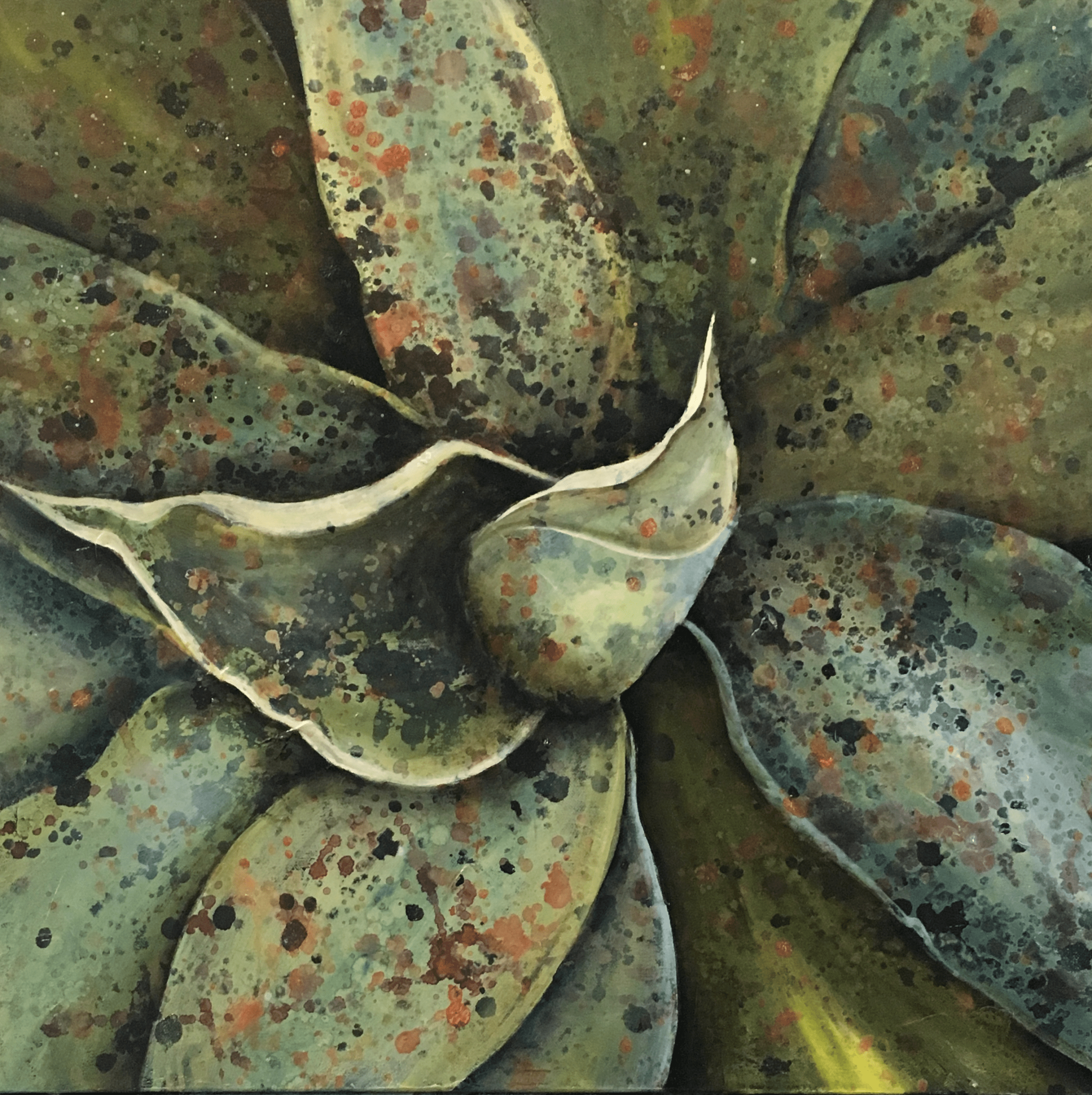 Blue Agave III