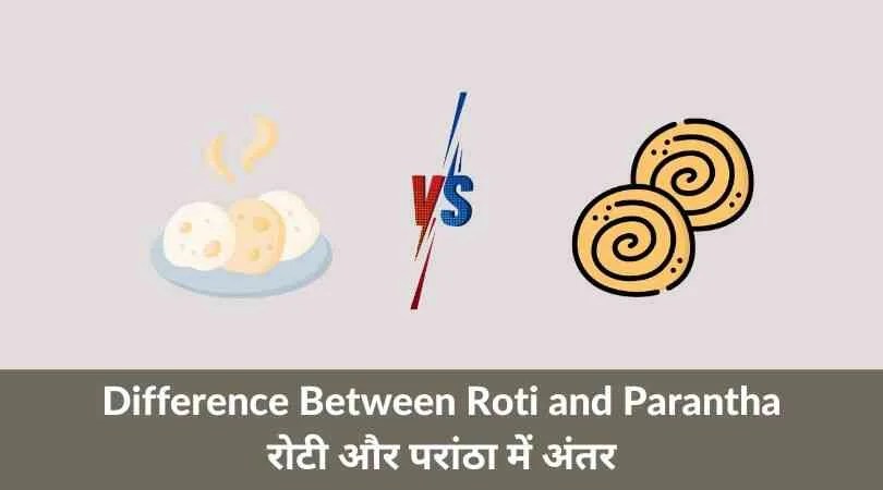 7 Difference Between Roti and Parantha in Hindi | रोटी और परांठो में ...
