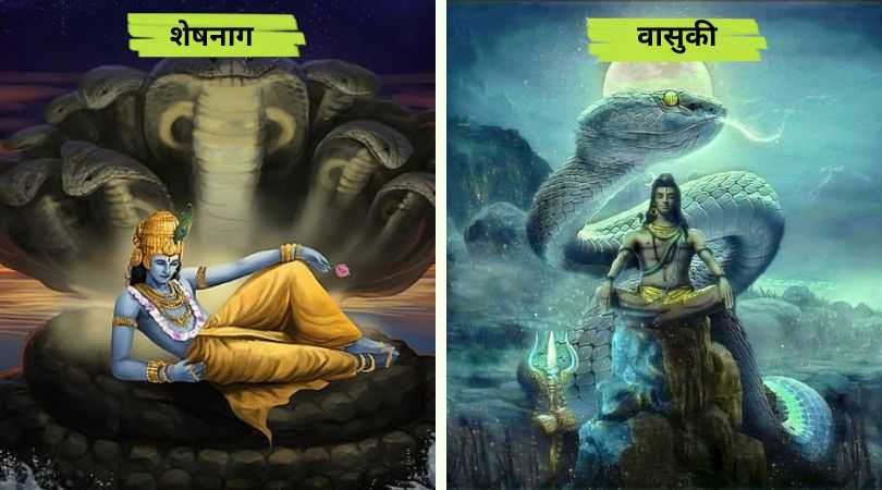 Difference Between Sheshnag and Vasuki