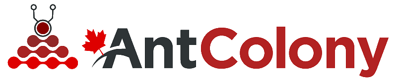 AntColony - Data Strategy for Startups, Data Audit for Startups