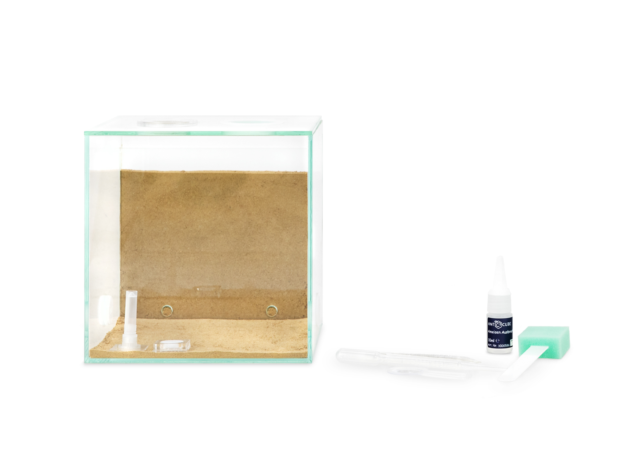 Bundle Offer – Lasius niger - ANTCUBE