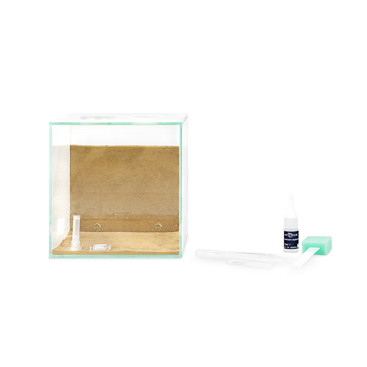 ANTCUBE Starter Set M - 20×20 - Combi - ANTCUBE