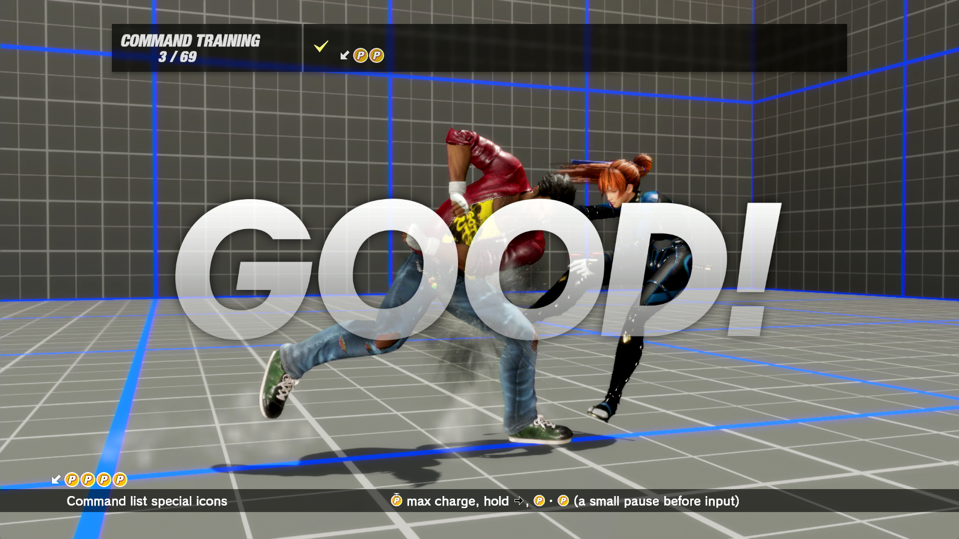 training - command training