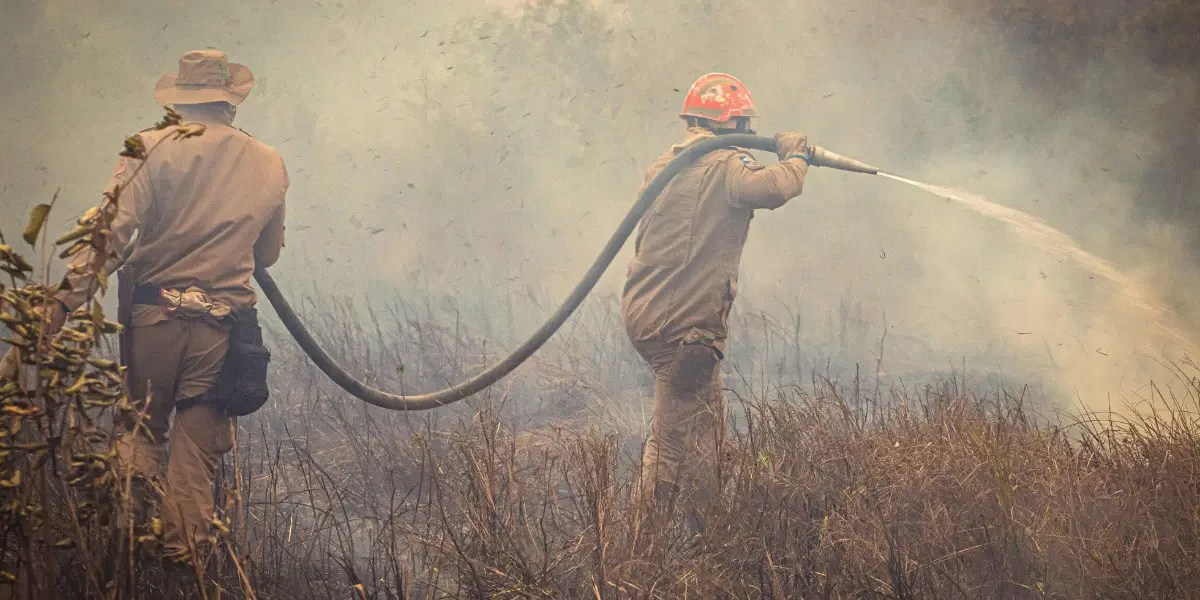Firefighters