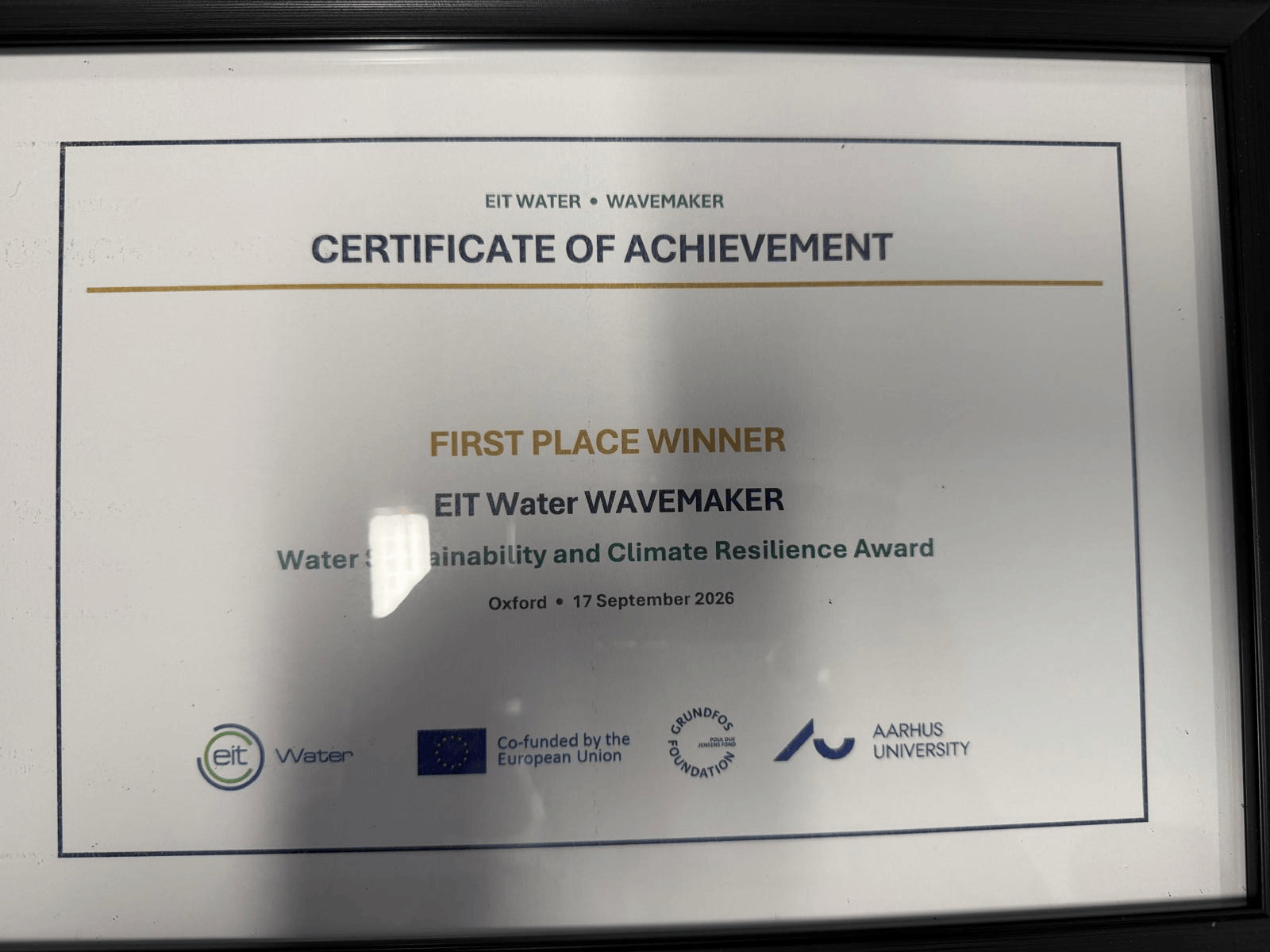 Wavemaker Award
