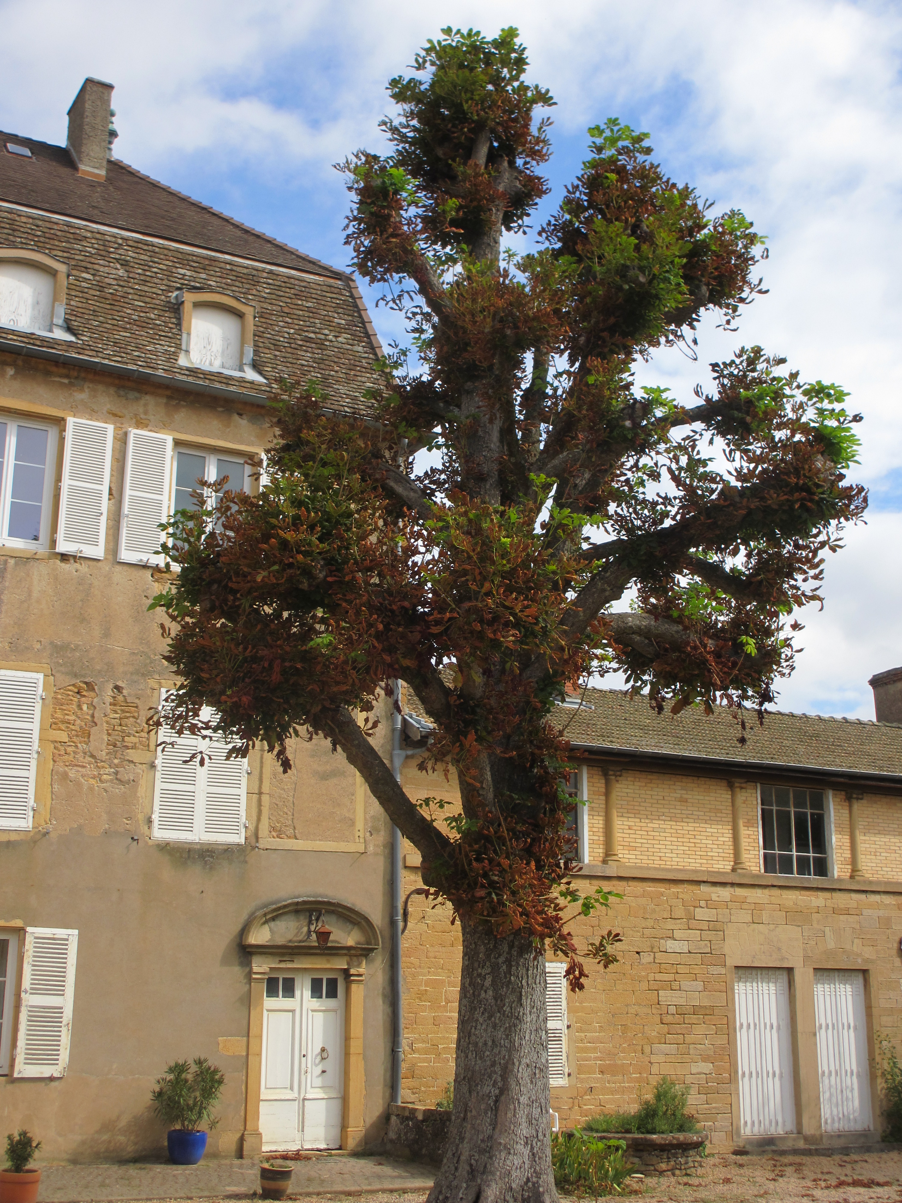 château de Lavernette