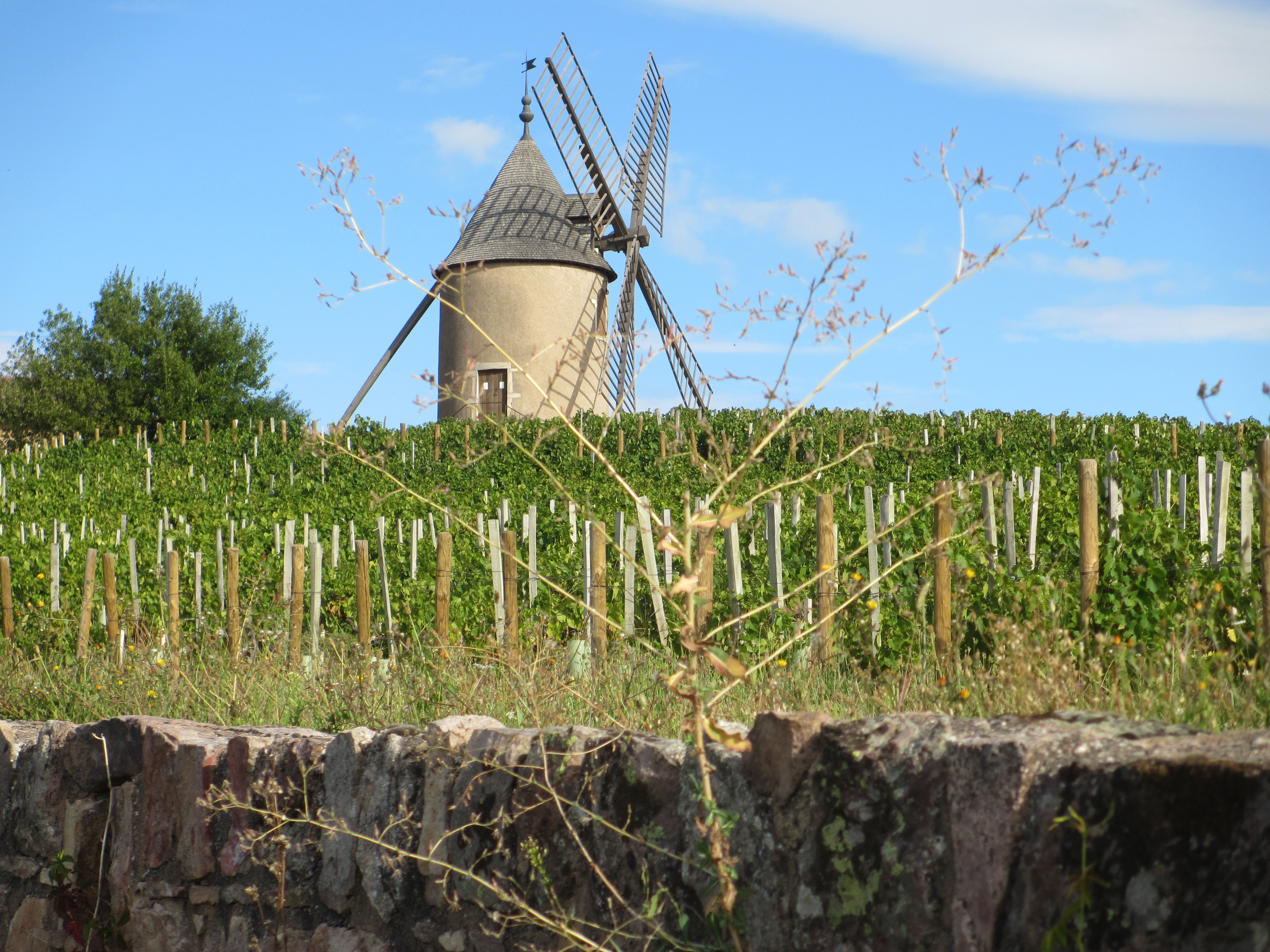 LE moulin-à-vent
