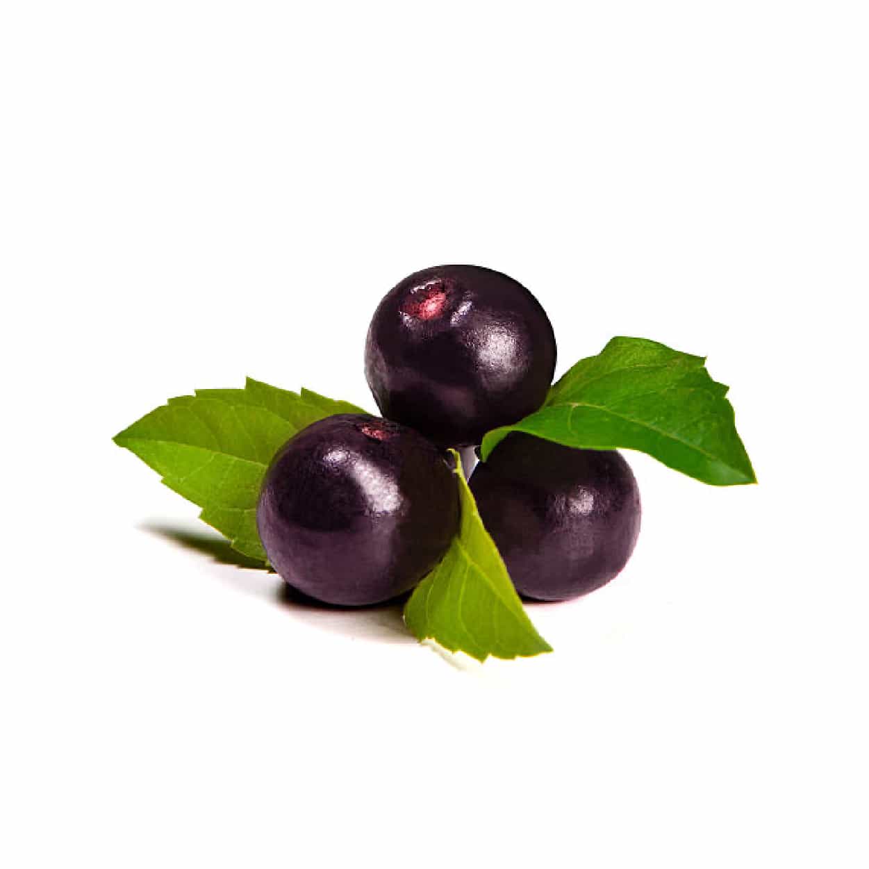 Acai Berry