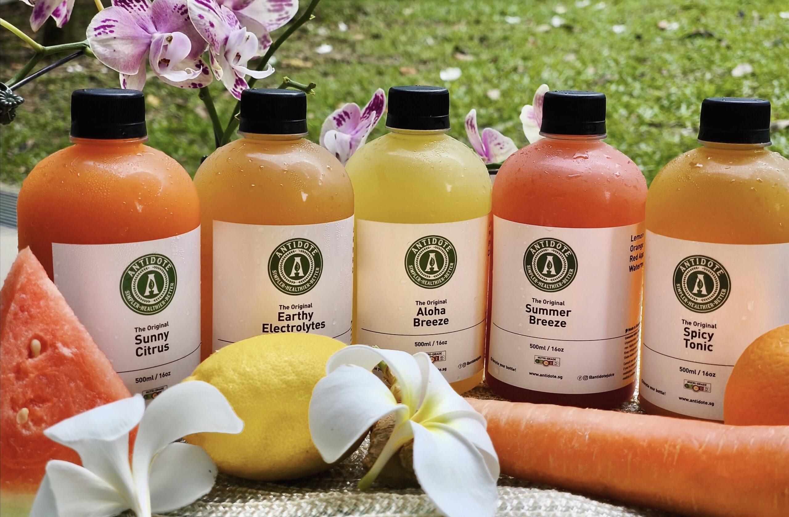 The Original Cold Pressed Juice Pack