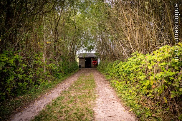 Back to the shack