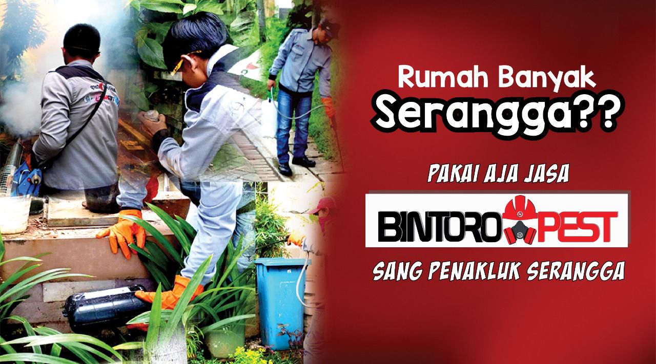 Pest control global bekasi | jasa fogging nyamuk bekasi | jasa pembasmi tikus bekasi | jasa. Jasa Fogging Nyamuk Di Bekasi Anti Rayap