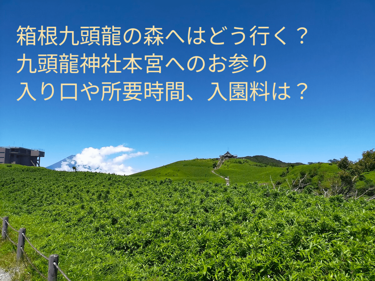 箱根ガイド記事