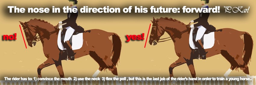 immagine per post facebook