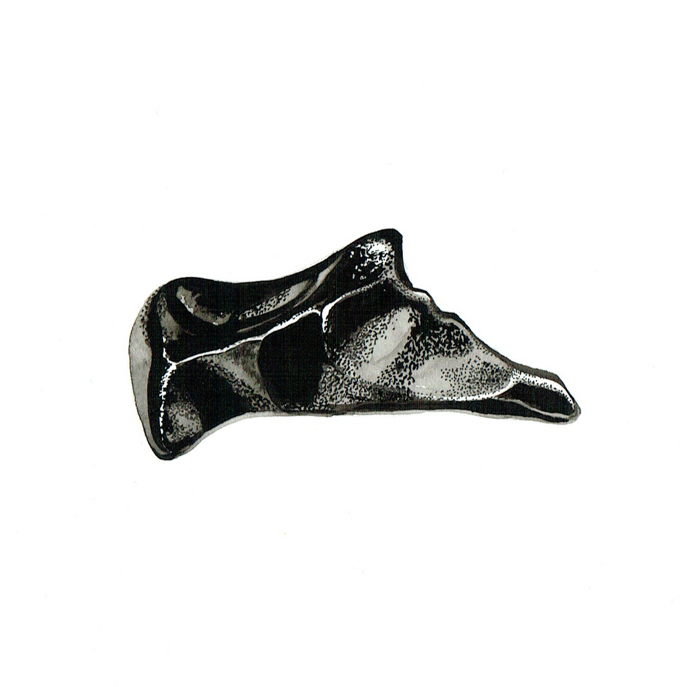 rock 024