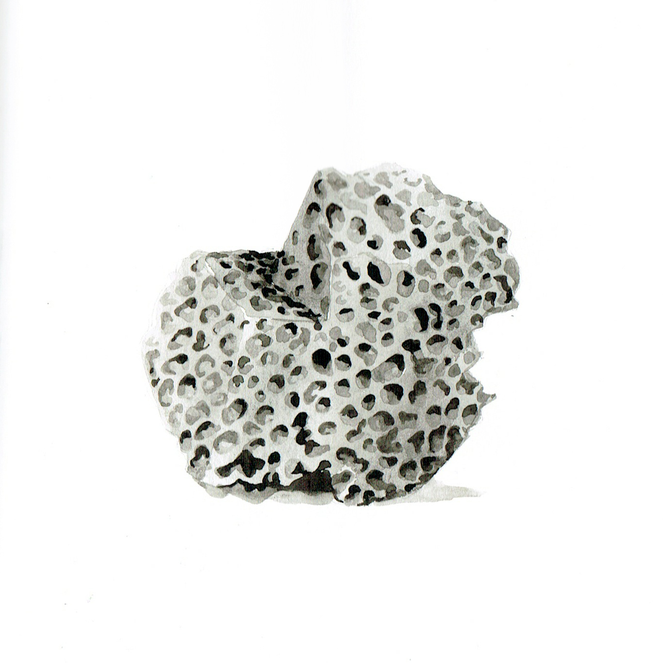 rock 028