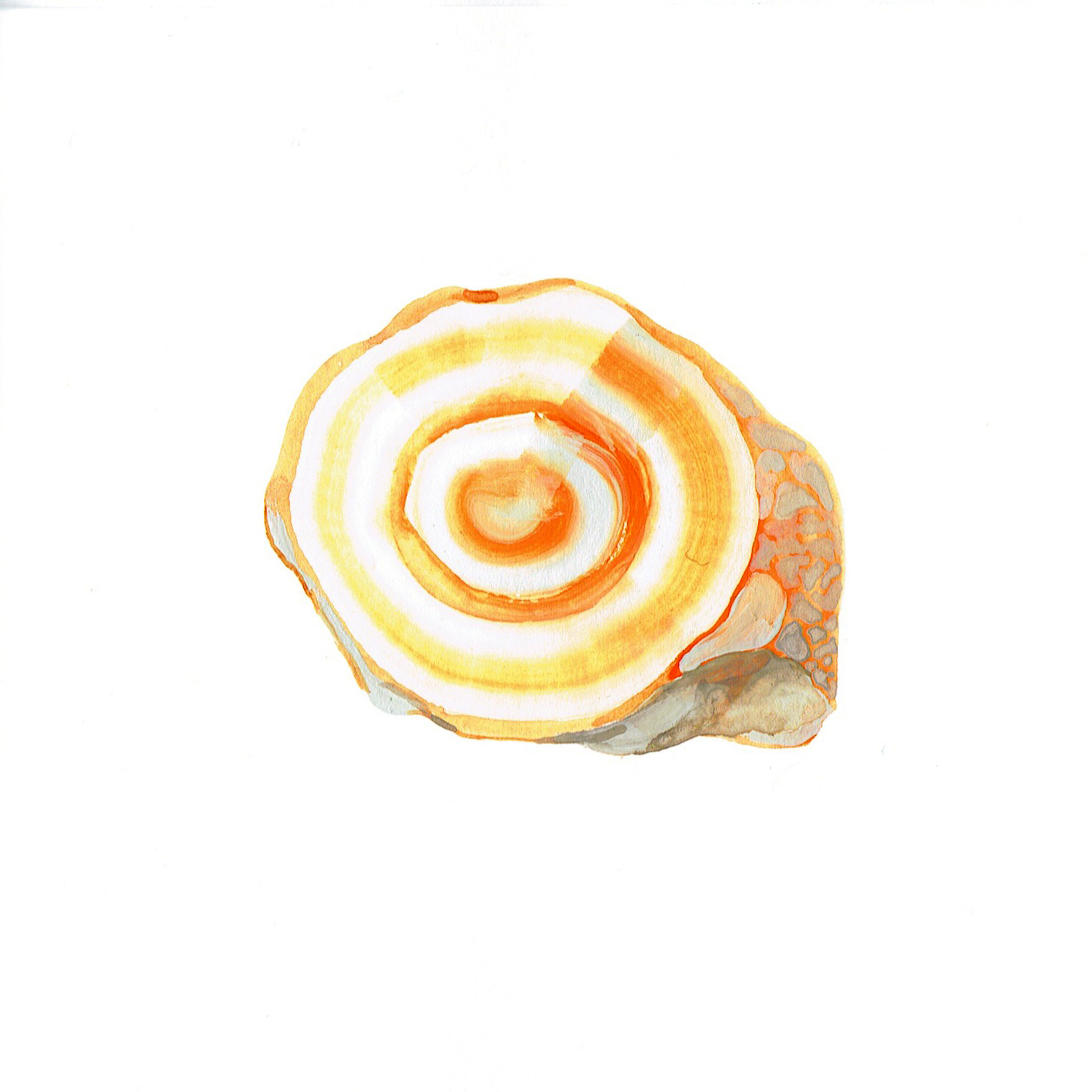 rock 044
