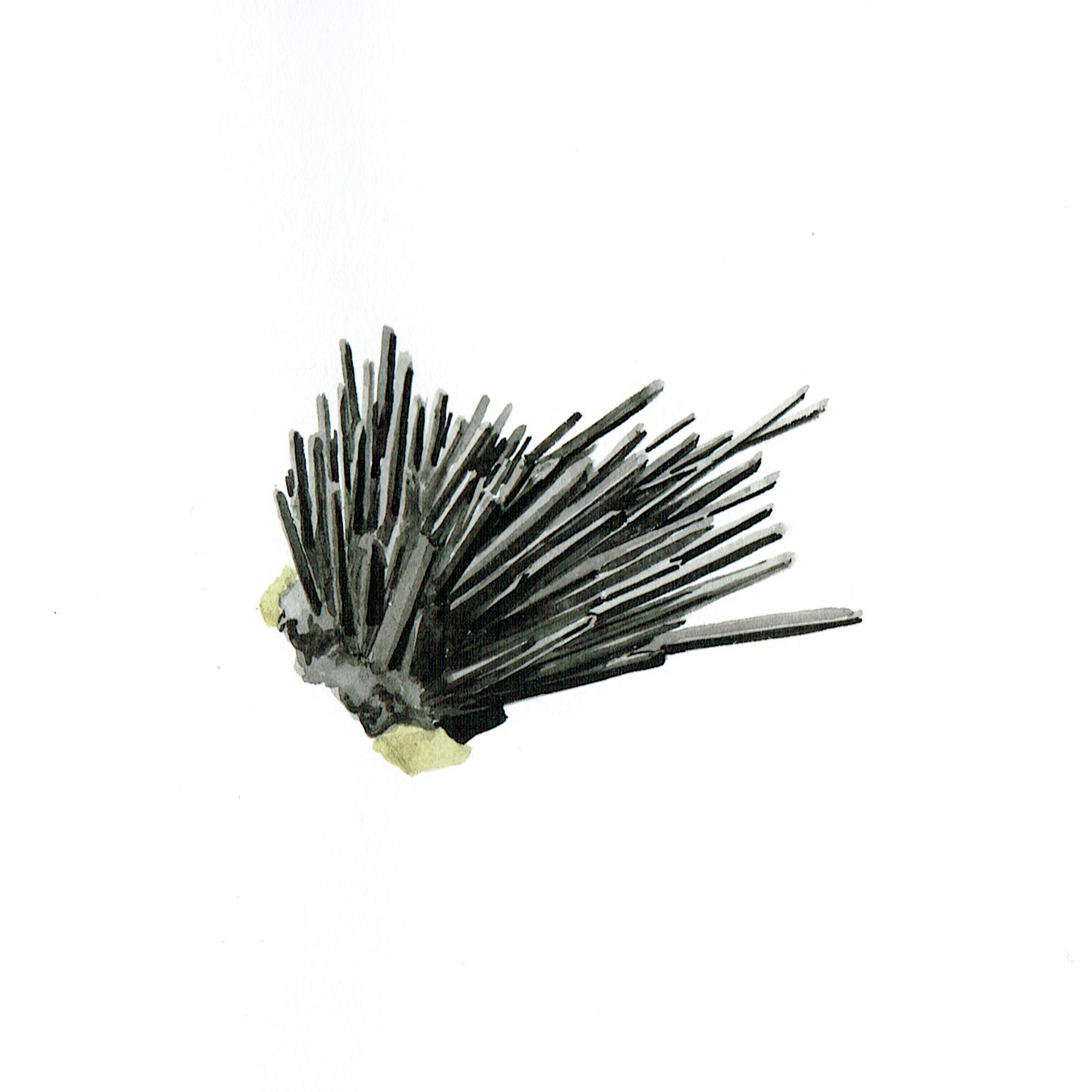 rock 082