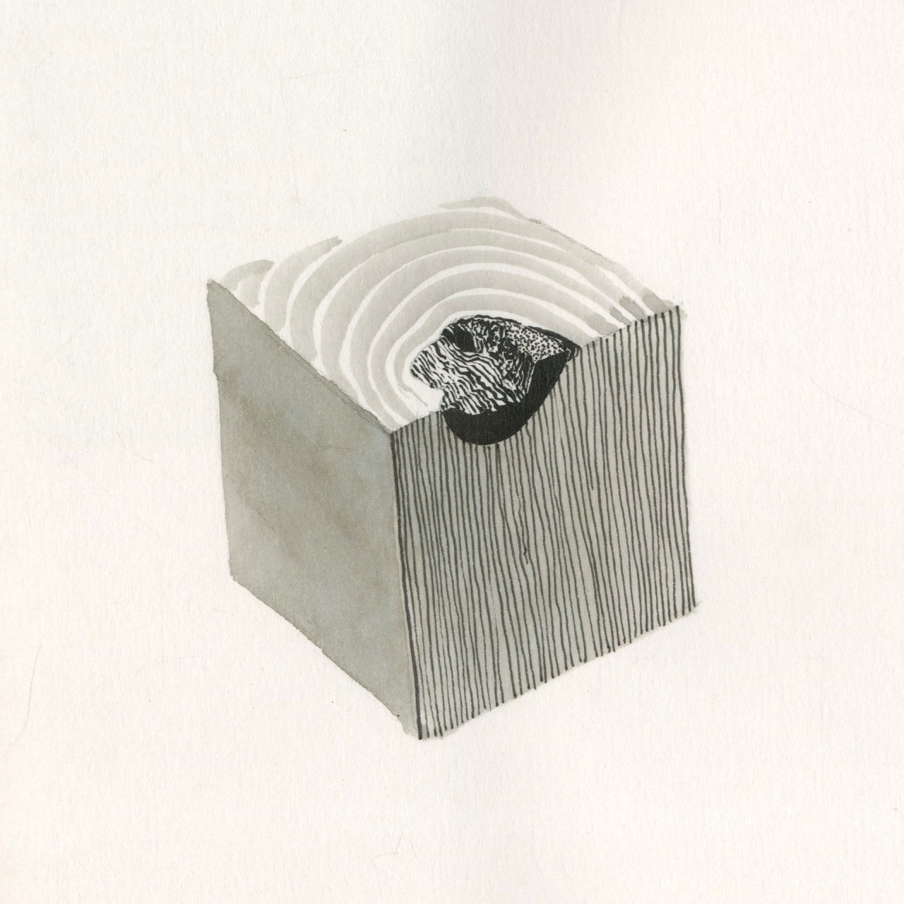 11-16 11