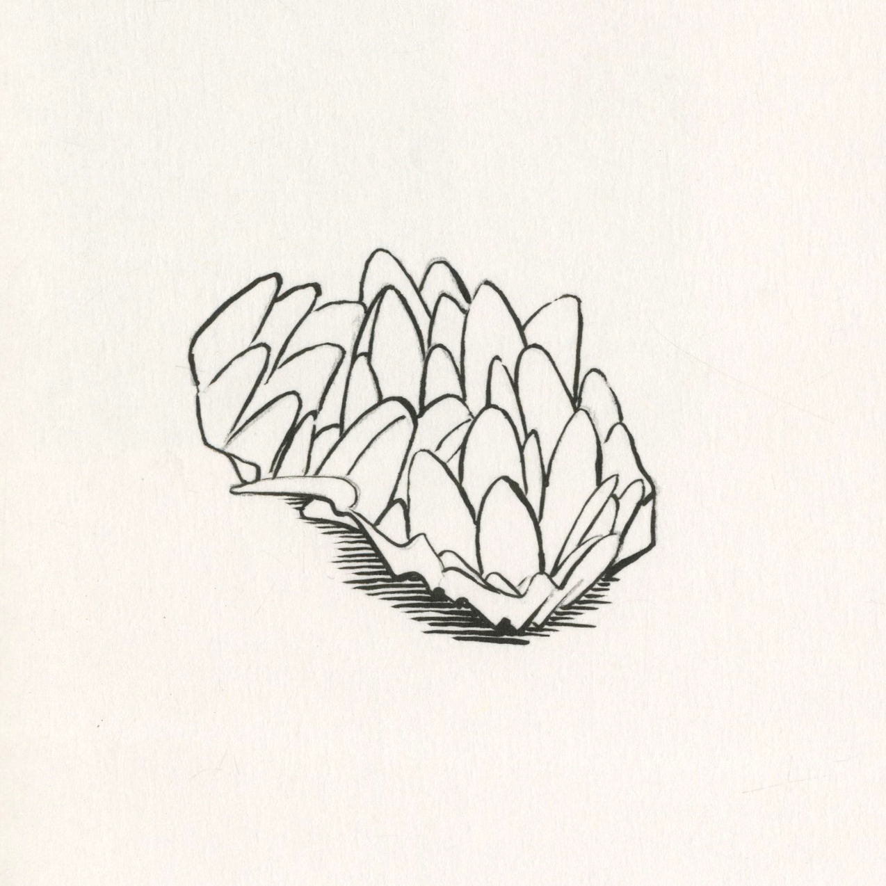 11-16 15