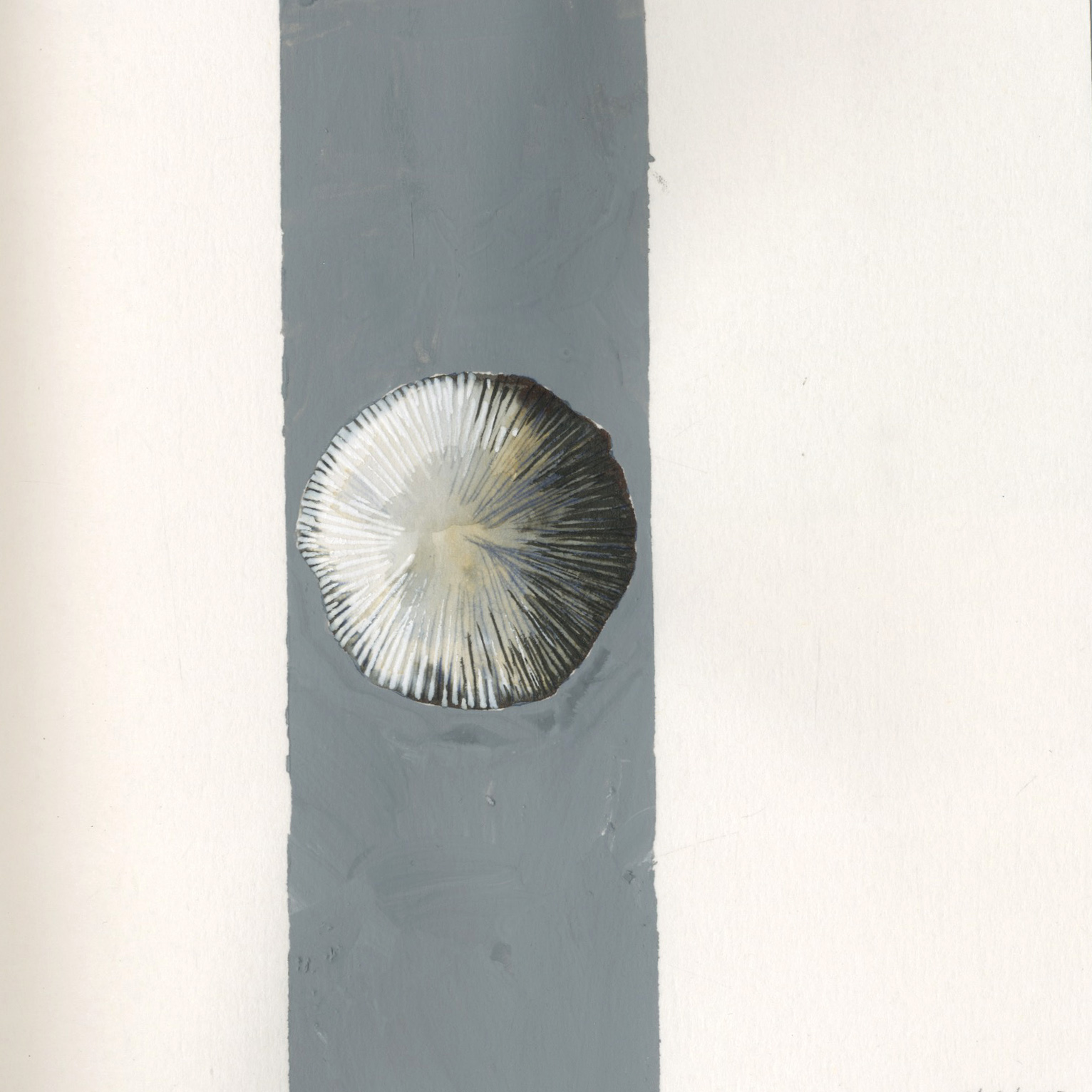 28:201510