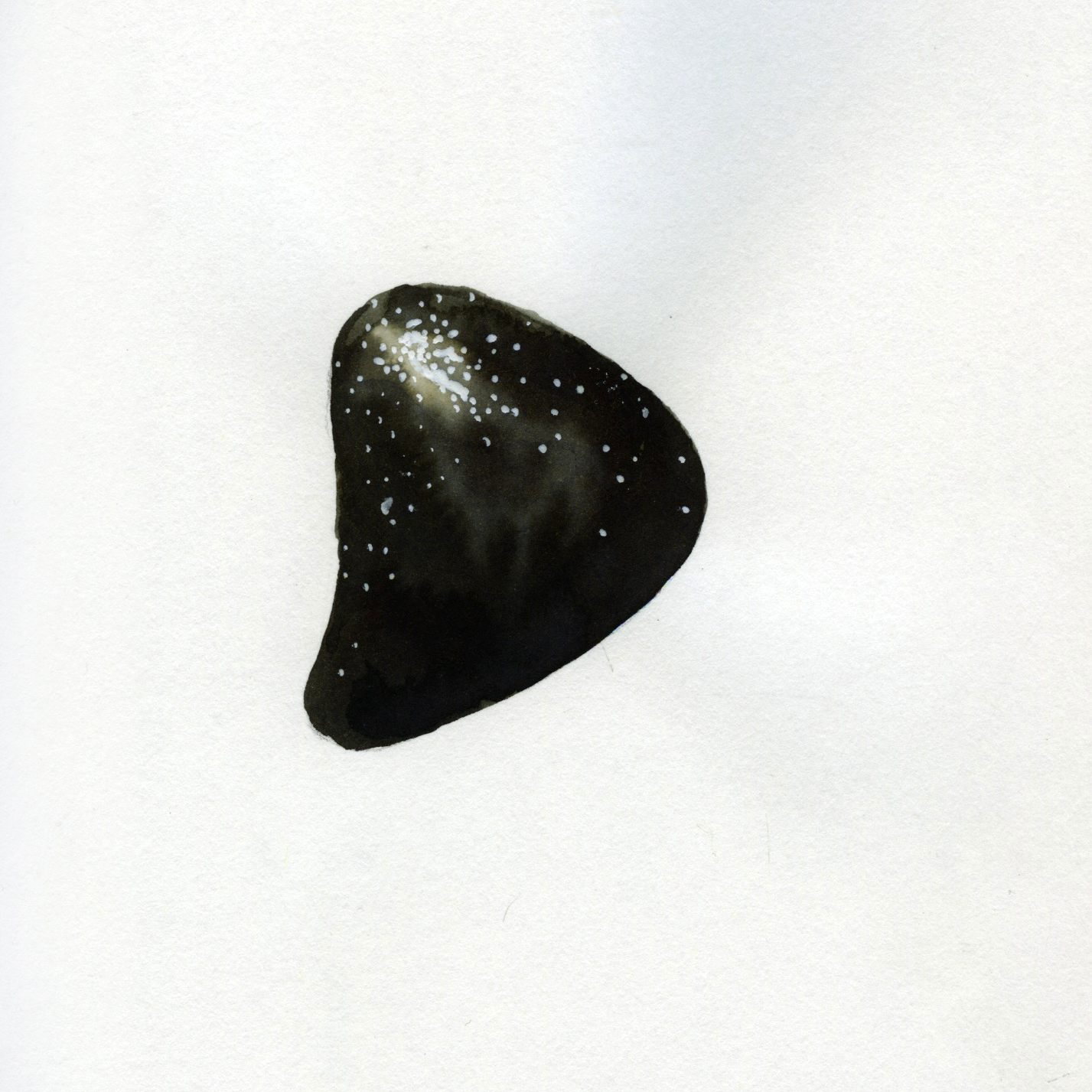 rock 22:08