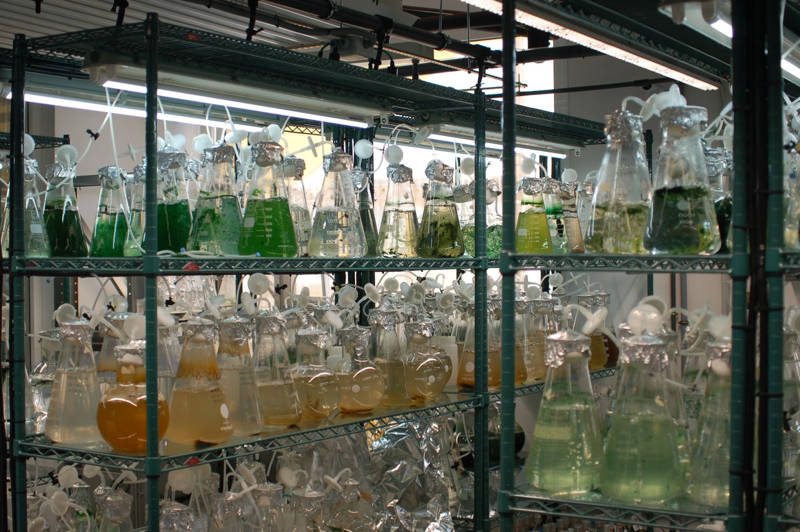 El futuro de la ciencia en Canarias