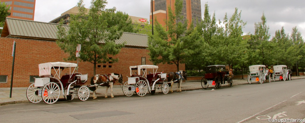 Philly_Carriages