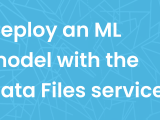 Deploying A Machine Learning Model With Anvil