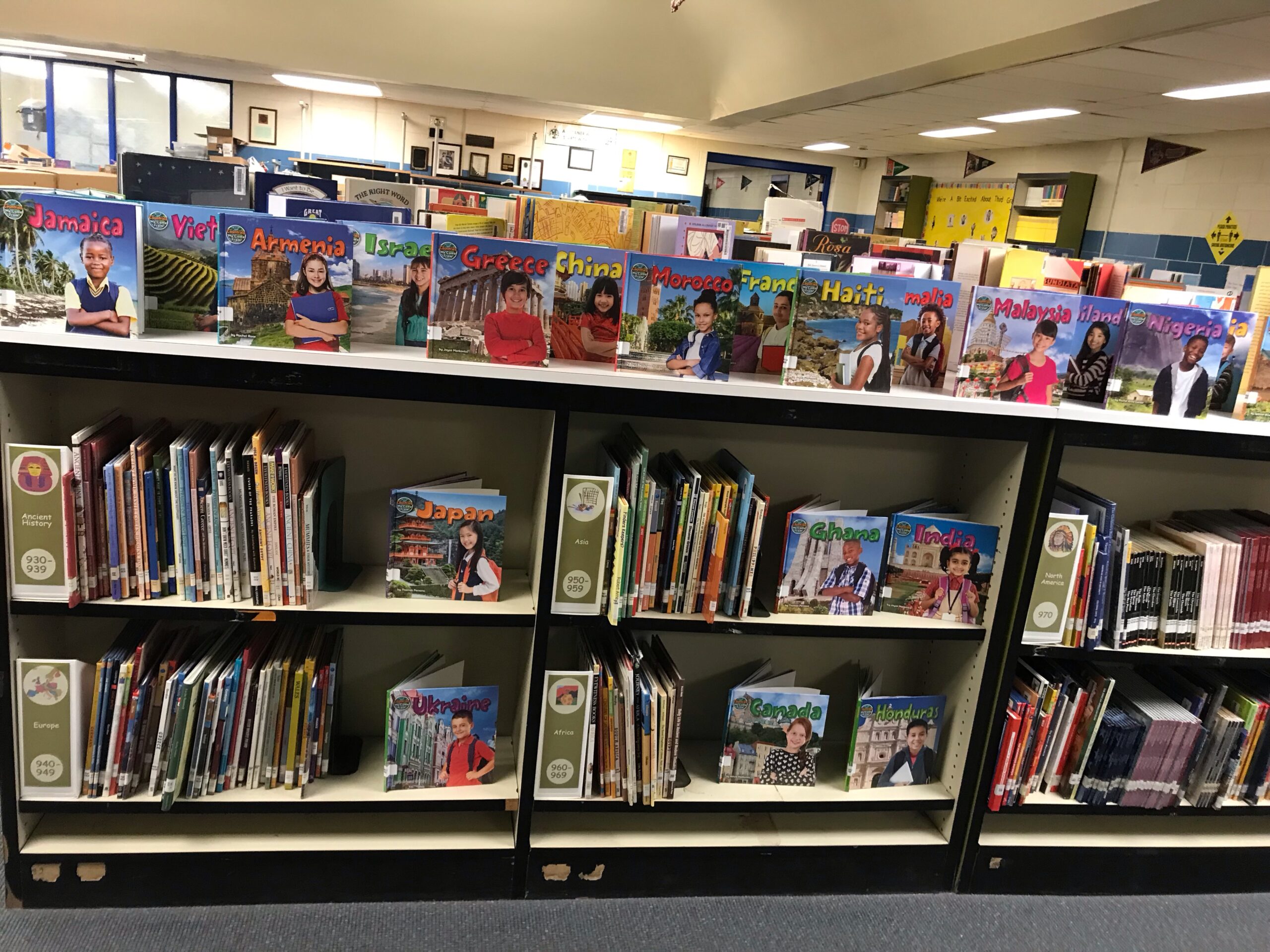 Library 900 section Anya Arax Meyer