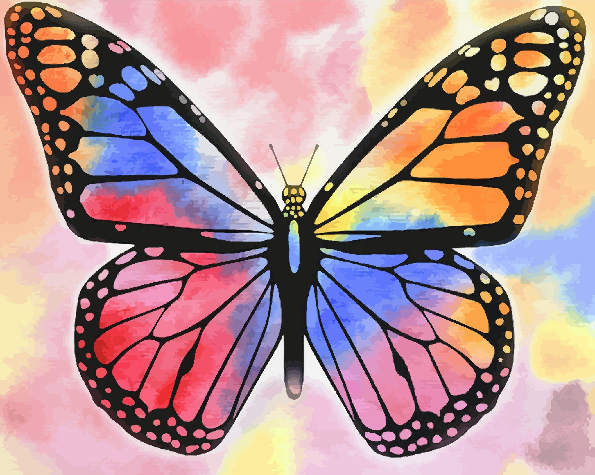 Multicolored Butterfly Painting By Numbers.jpeg