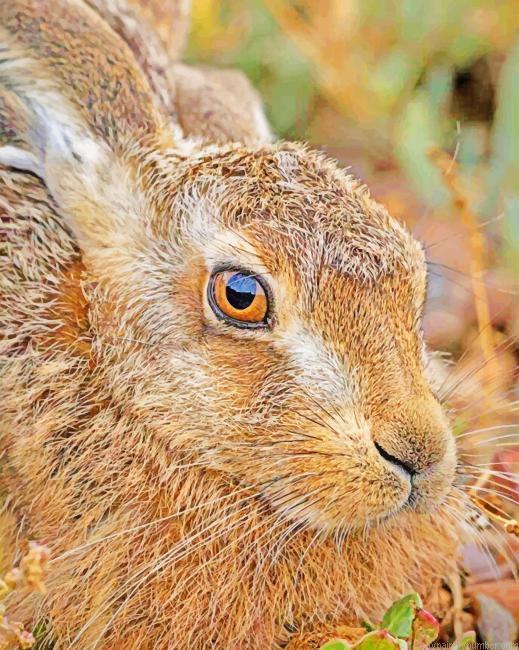 Pretty Rabbit Animals Paint By Number