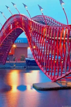 Python Bridge Cities Painting By Numbers.jpeg