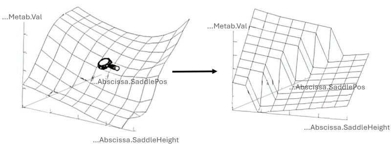 Optimization Studies Anybody Tutorials V8 1 0 - Classic Light Illustration - Full HD