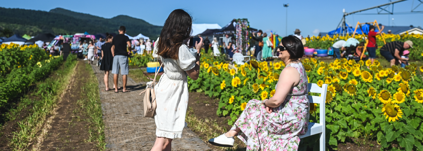 A photo of people around a crop of sunflowers. In the foreground is two people, one is sitting down on a white chair posing for a photo and the other person is holding a camera taking a photo of that person. They are both wearing flowy dresses.
