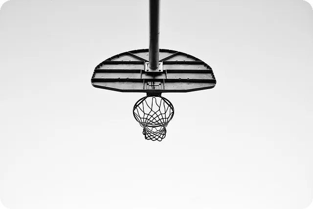 KBL 외국선수 확대 대학농구의 미래는