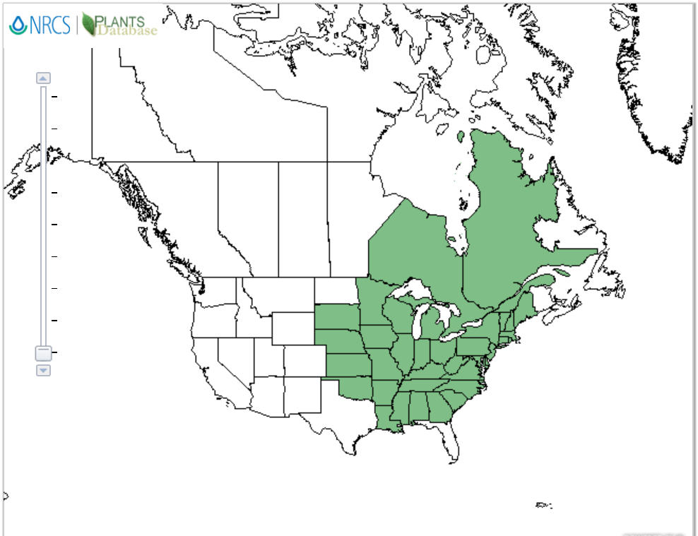 Ginseng In Nc Map 83 Creative Ways to Fund Your Travels Around The World AOWANDERS