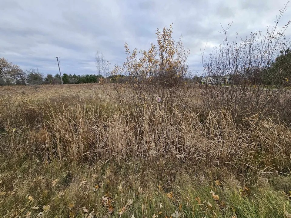 Heather Lot 147 Gladwin MI 48624 Realtor Com W960 H720.webp