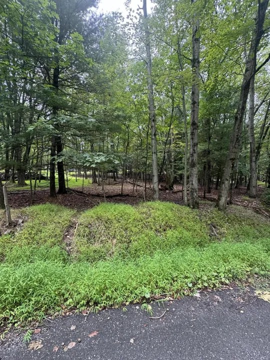 Lake Dr 306 Henryville PA 18332 Realtor Com W960 H720.webp