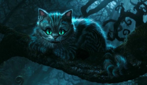 cat live wallpaper download