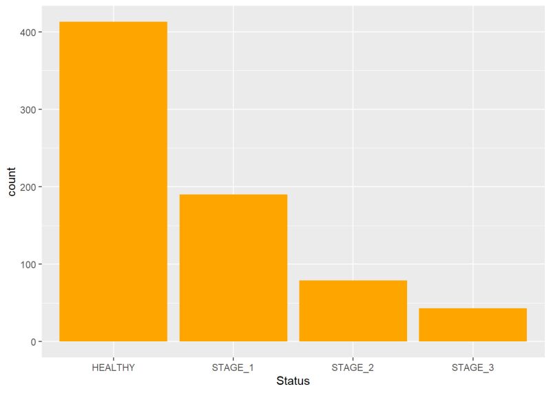 Introduction Summer R Bootcamp - Sunset Wallpaper Collection - 4K Quality