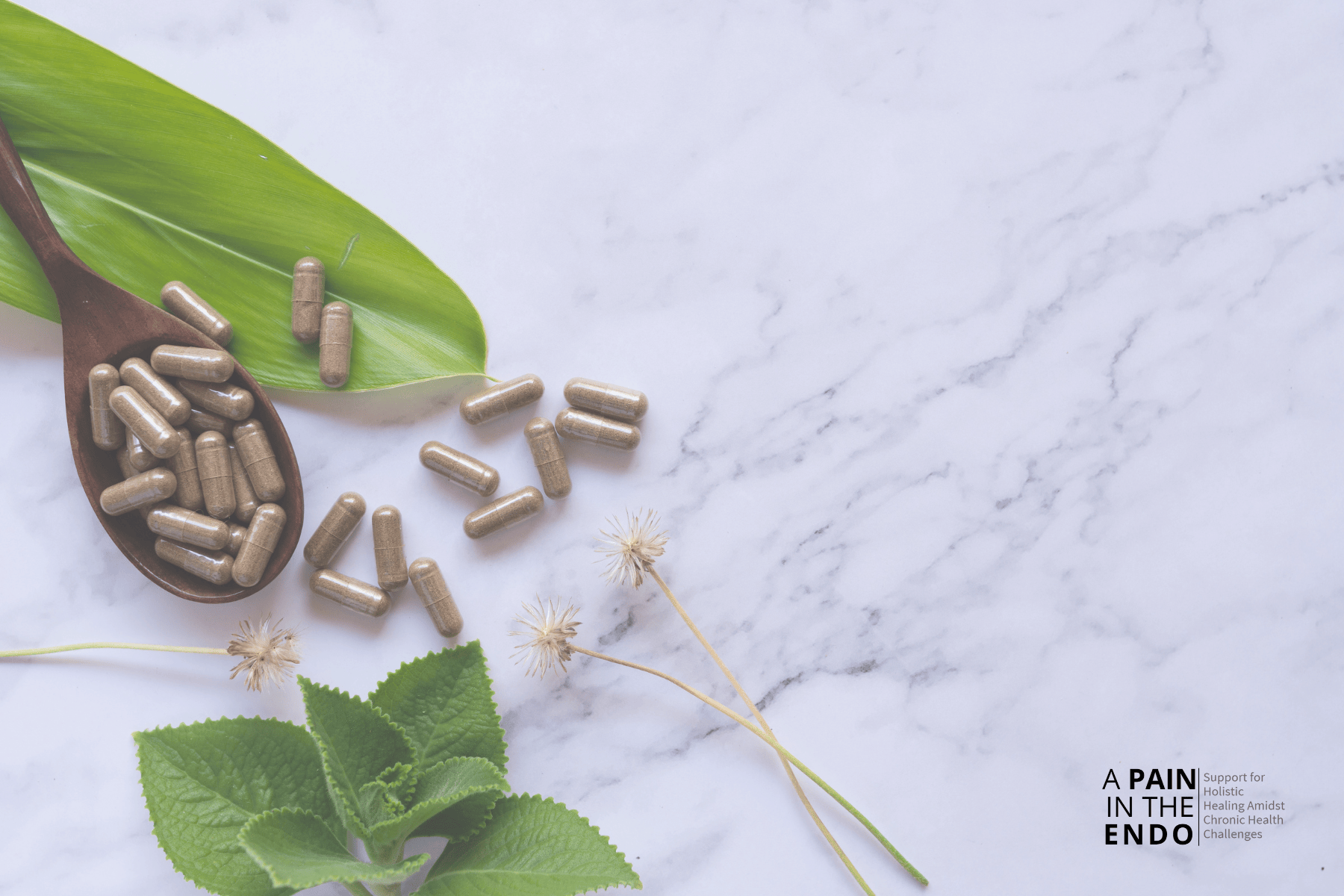 best pycnogenol supplements