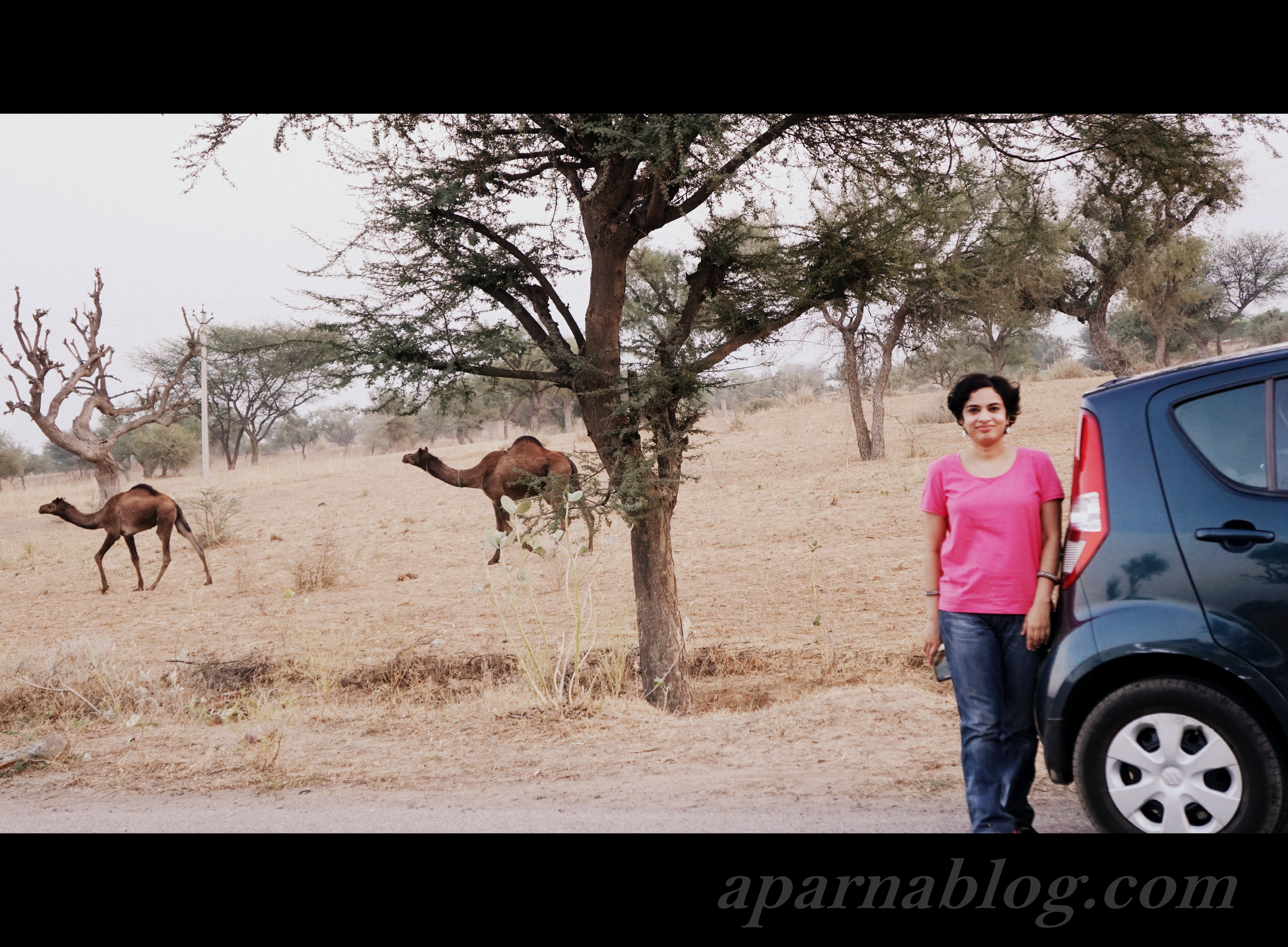 On the camel highway ;)