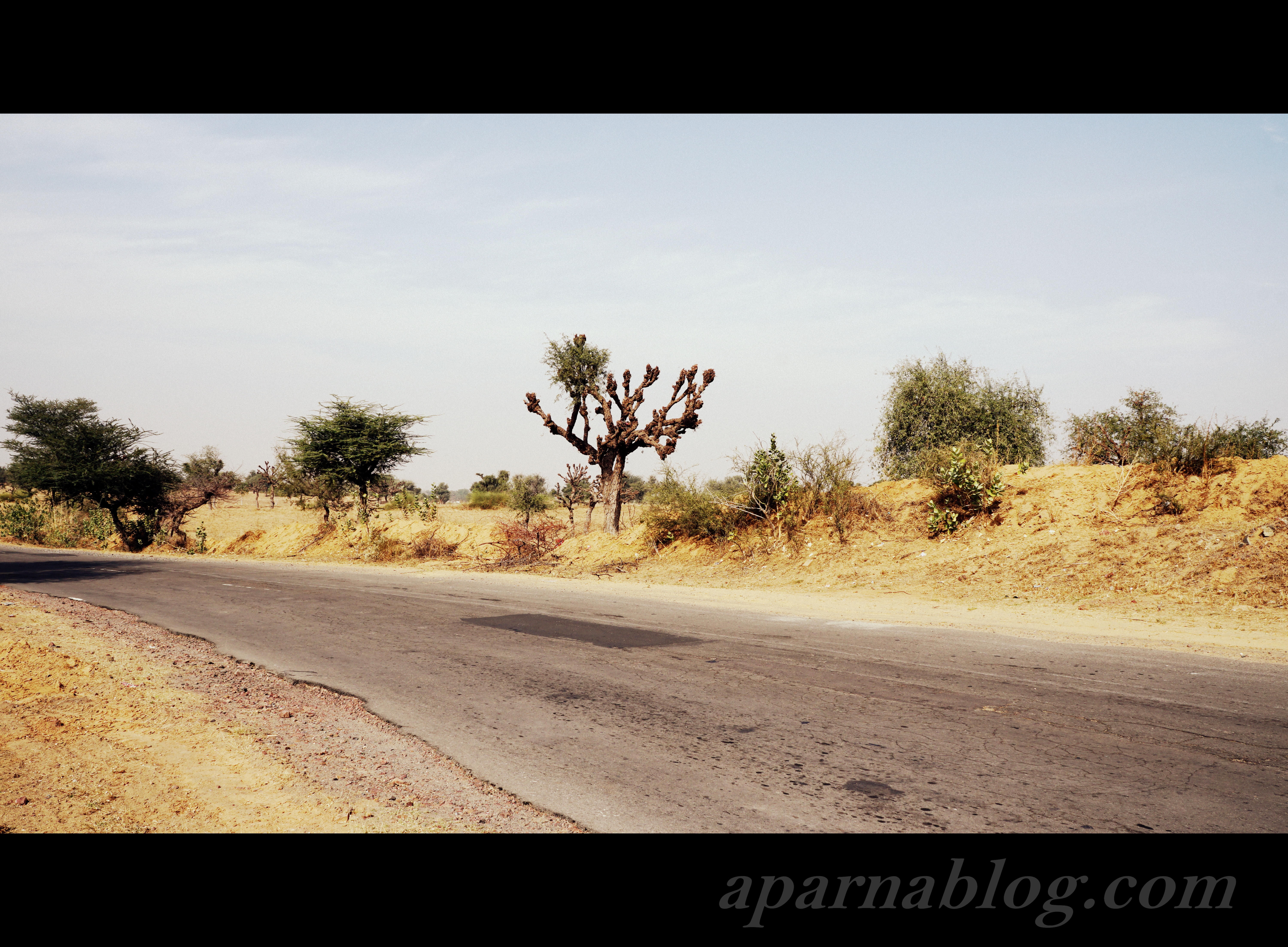 Beautiful desert road.